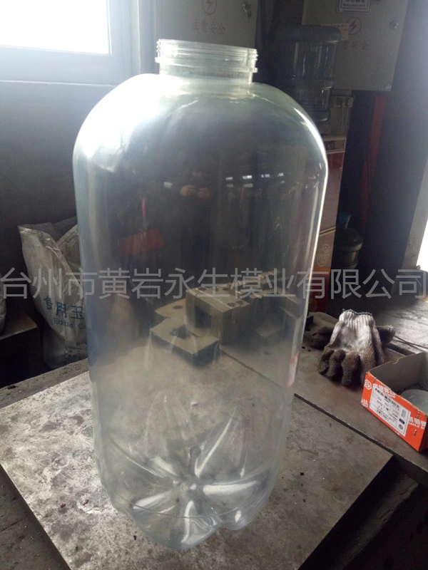 Needle Valve Gate Pet Preform Mould